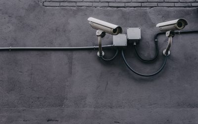 Le respect de la vie privée, un principe constitutionnel menacé