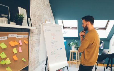 Les Paris des Start-up : Ascension au sommet ou chute vertigineuse ?