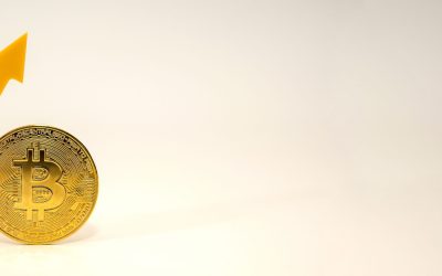 Le Bitcoin peut-il sauver la planète ? Révélations surprenantes sur son impact environnemental