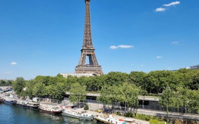 Entrepreneuriat vert à Paris : quand l’élagage devient un levier pour une ville durable