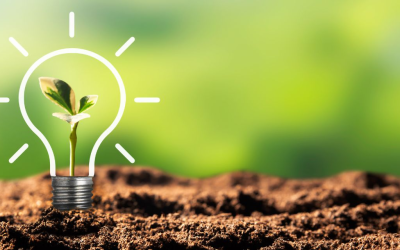 Transition rse 2024: bonus esg et innovations bas carbone