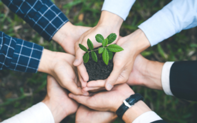 Initiatives rse 2024 gouvernance durable et performance enfin convergentes
