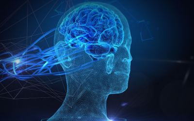 Intelligence artificielle en entreprise : adoption, techniques dominantes et productivité