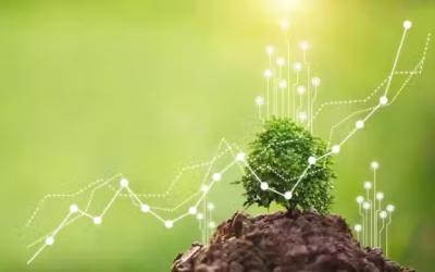 RSE : l’innovation durable comme levier stratégique incontournable