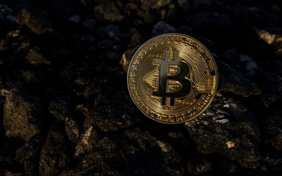 Blockchain 2024 : chiffres record, modularité, défis régulatoires et adoption mondiale