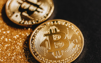 Panorama blockchain 2024 : adoption record, restaking prometteur et défis persistants