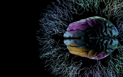 Intelligence artificielle 2024 : comprendre techniques, gouvernance, opportunités et risques émergents